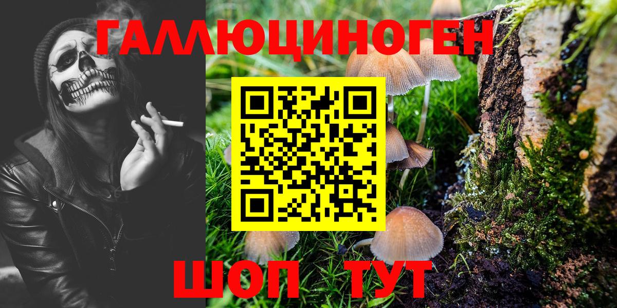 Псилоцибиновые грибы GOLDEN TEACHER Сухой Лог