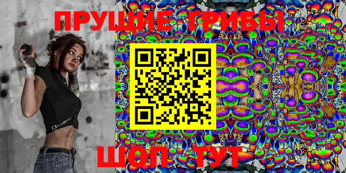 Сухой Лог  Псилоцибиновые грибы Psilocybe  Вход с VPN 